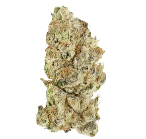 BROKEN COAST - Platinum Pave 28g Dried Flower Main Image