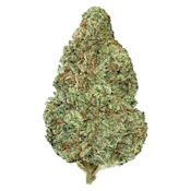 Gelato