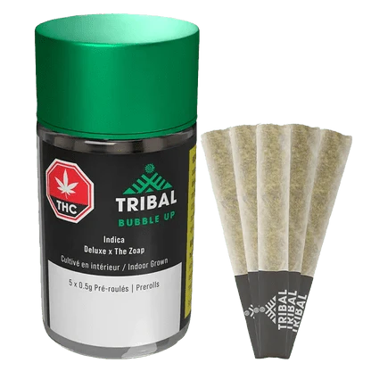 TRIBAL - Bubble Up Main Image