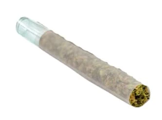 PUFFER'S PARADISE - Honah Lee Haze 1 x 0.5g Pre-Rolls by Puffer's Paradise Main Image