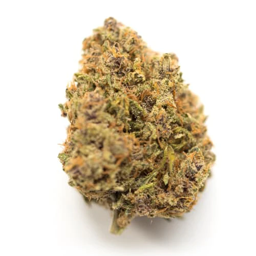 Elevator - BC Rockstar (14g) - Elevator Main Image