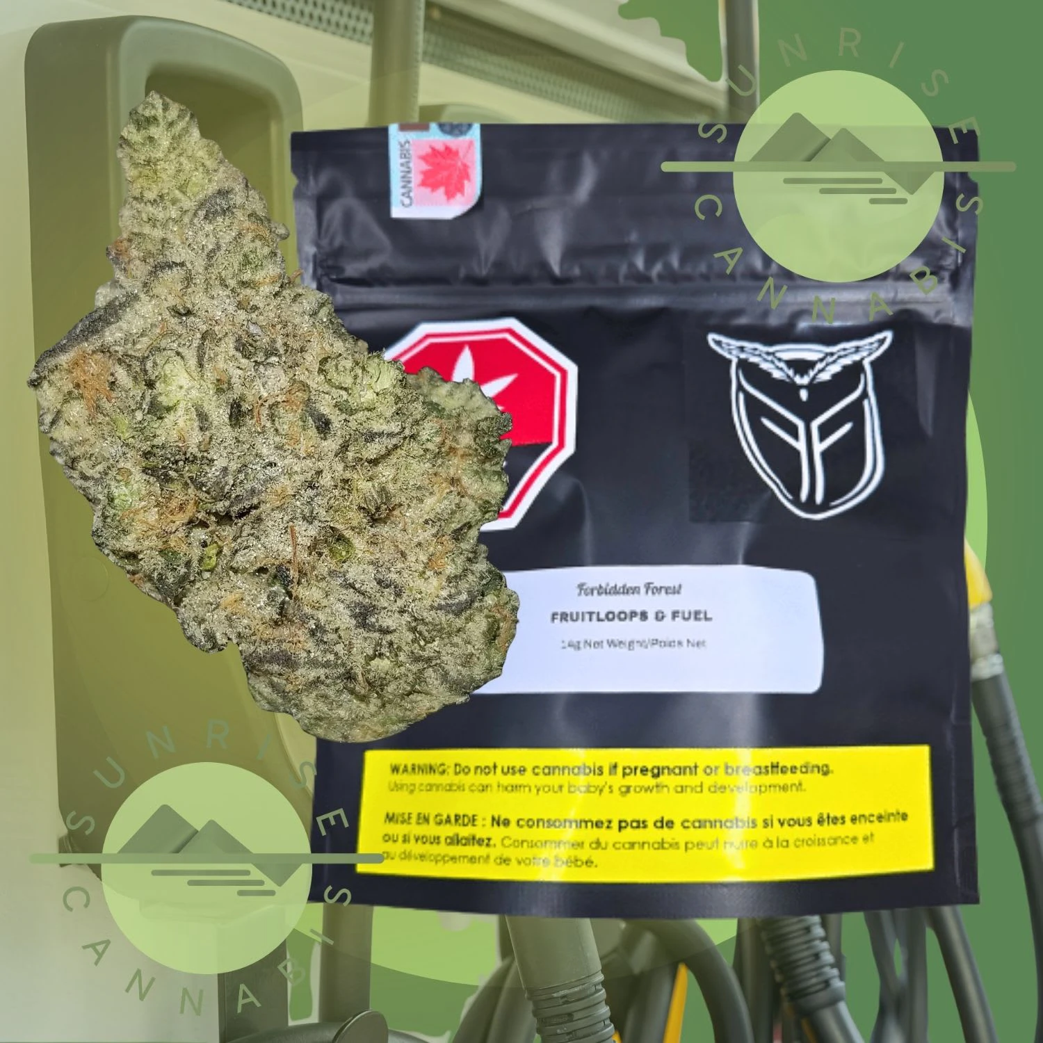 Forbidden Forest - FRUITLOOPS AND FUEL - FORBIDDEN FOREST - 14G Main Image