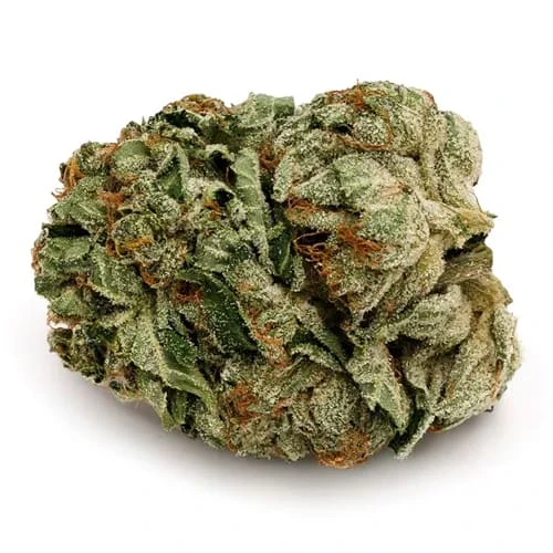 PURE SUNFARMS CANADA CORP. - Pink Kush 3.5g Main Image