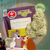 LOVE HAZE - SALTSPRING MAGIC (DFG) - 28G