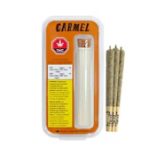 Animal Face 3 x 0.5G