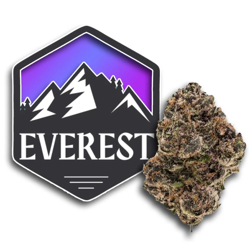Everest - Grape Gas 10 x 0.5g Pre-Rolls Main Image