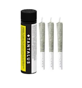 More Cowbell 3 x 0.5G
