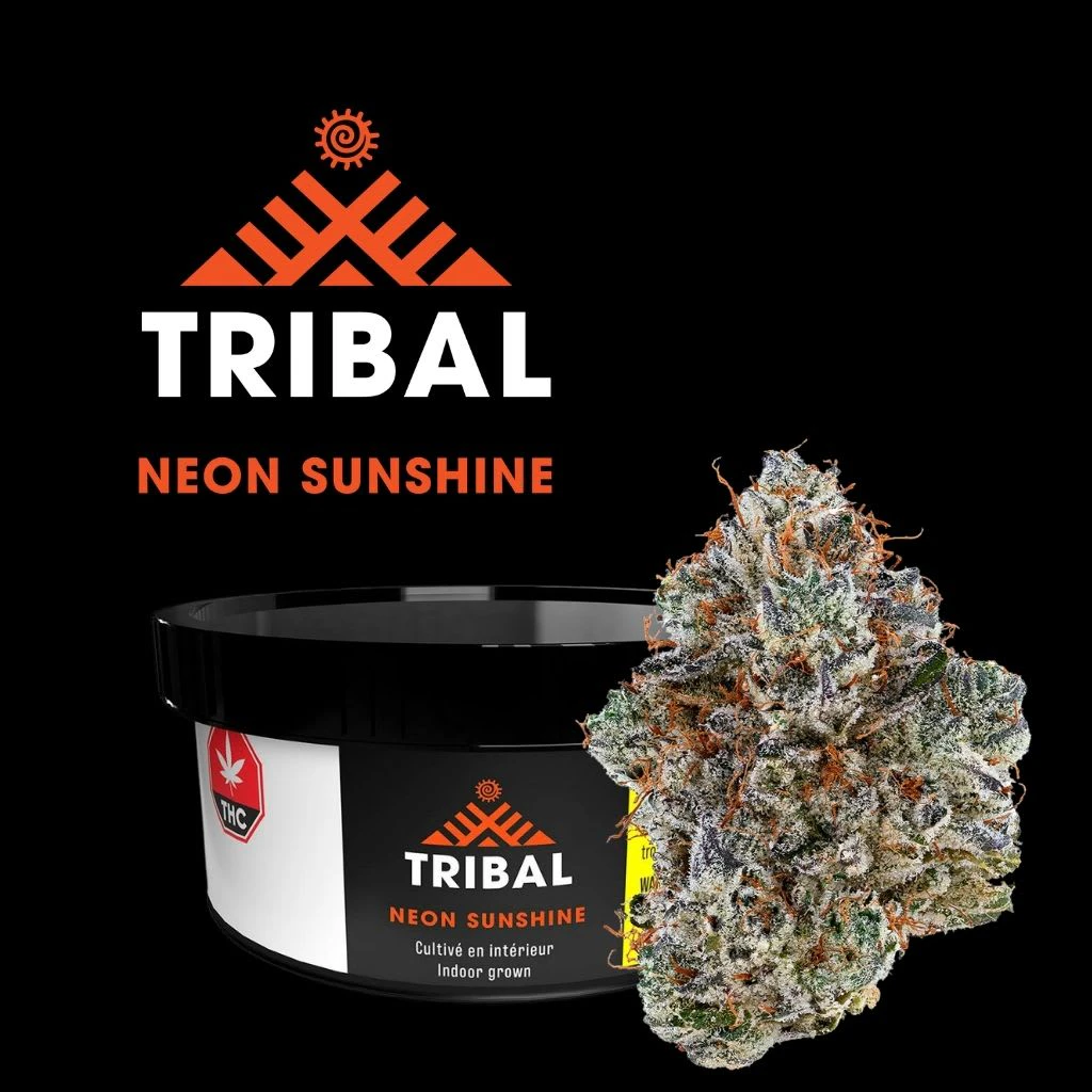TRIBAL - Tribal Neon Sunshine 3.5g Dried Flower Main Image