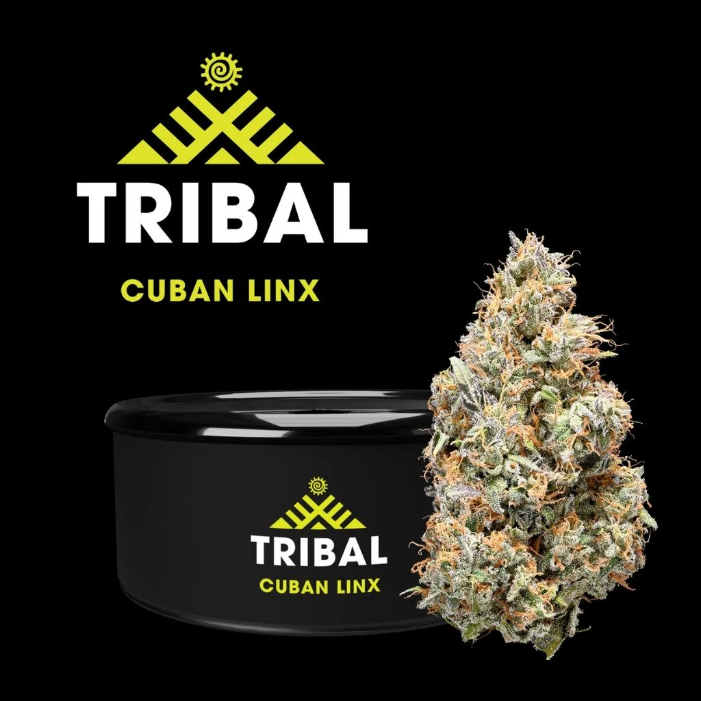 TRIBAL - Tribal Cuban Linx 3.5g Dried Flower Main Image