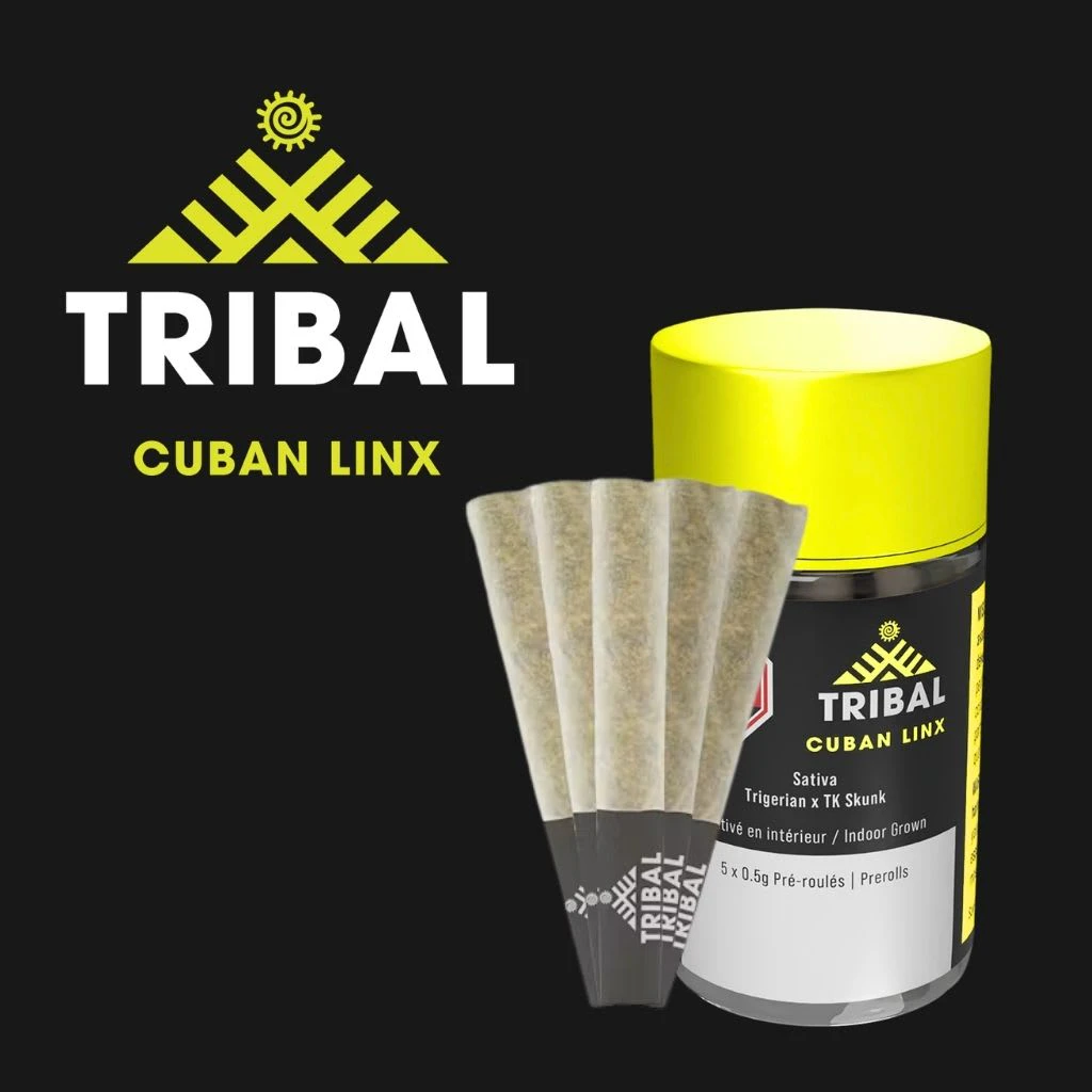 Cannara Biotech (Quebec) Inc. - Tribal - Cuban Linx 5 x 0.6 g Pre-Rolls Main Image
