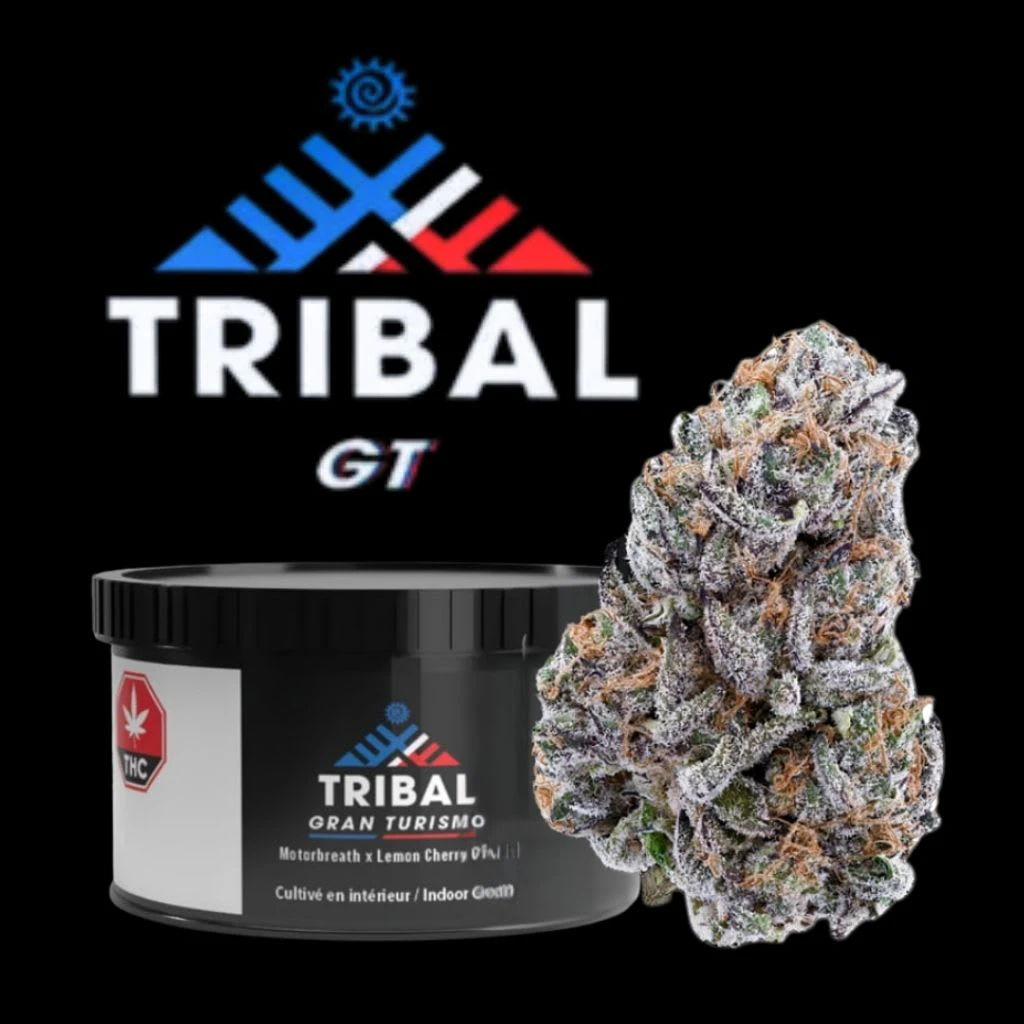 TRIBAL - Tribal Gran Turismo 3.5g Dried Flower Main Image