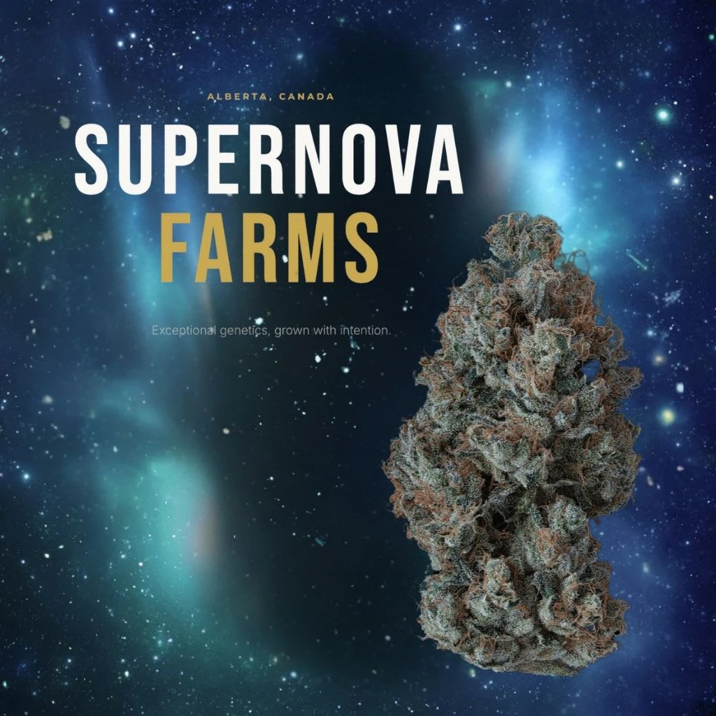 Supernova Farms - Supernova Farms Unicorn Shoes #2 3.5g Dried Flower Main Image