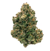 PARCEL - CITRUS NOTES (MANDARIN COOKIES) - 28 GRAM