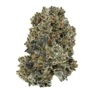 Sticky Scissors - Sticky Scissors - GMO X F.P.O.G - 28g Indica Main Image