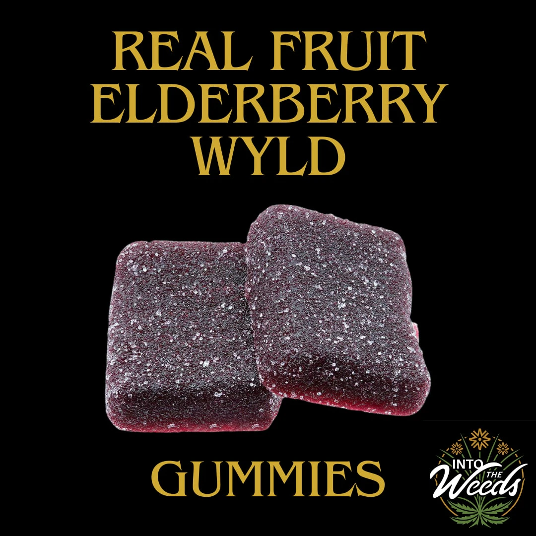 WYLD - Real Fruit Elderberry 30 x 25mg Main Image