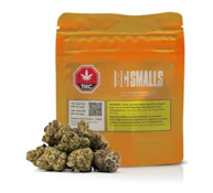 HALLE BLOCKBERRY SMALLS - 3.5