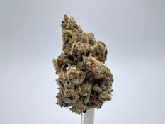 TOKEN - Gelato 28g Dried Flower
