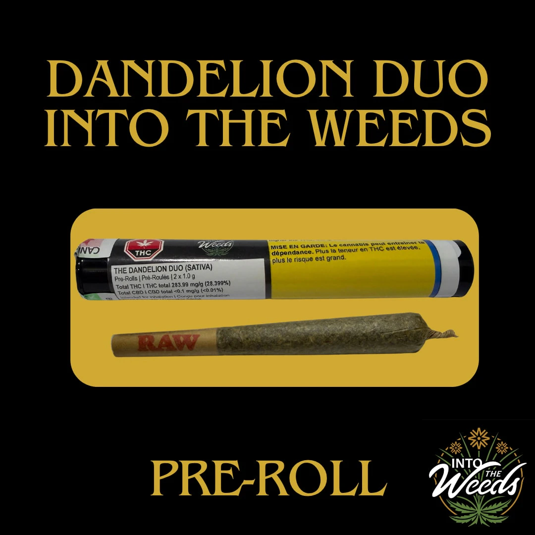 Into The Weeds Cannabis - Dandelion Duo - 2 x 1g Main Image