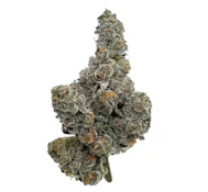 Amani - Gastro Pop (14g)