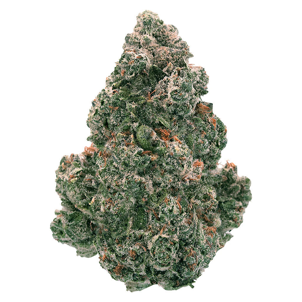 BACK FORTY - Liquid Imagination 3.5g Dried Flower Main Image