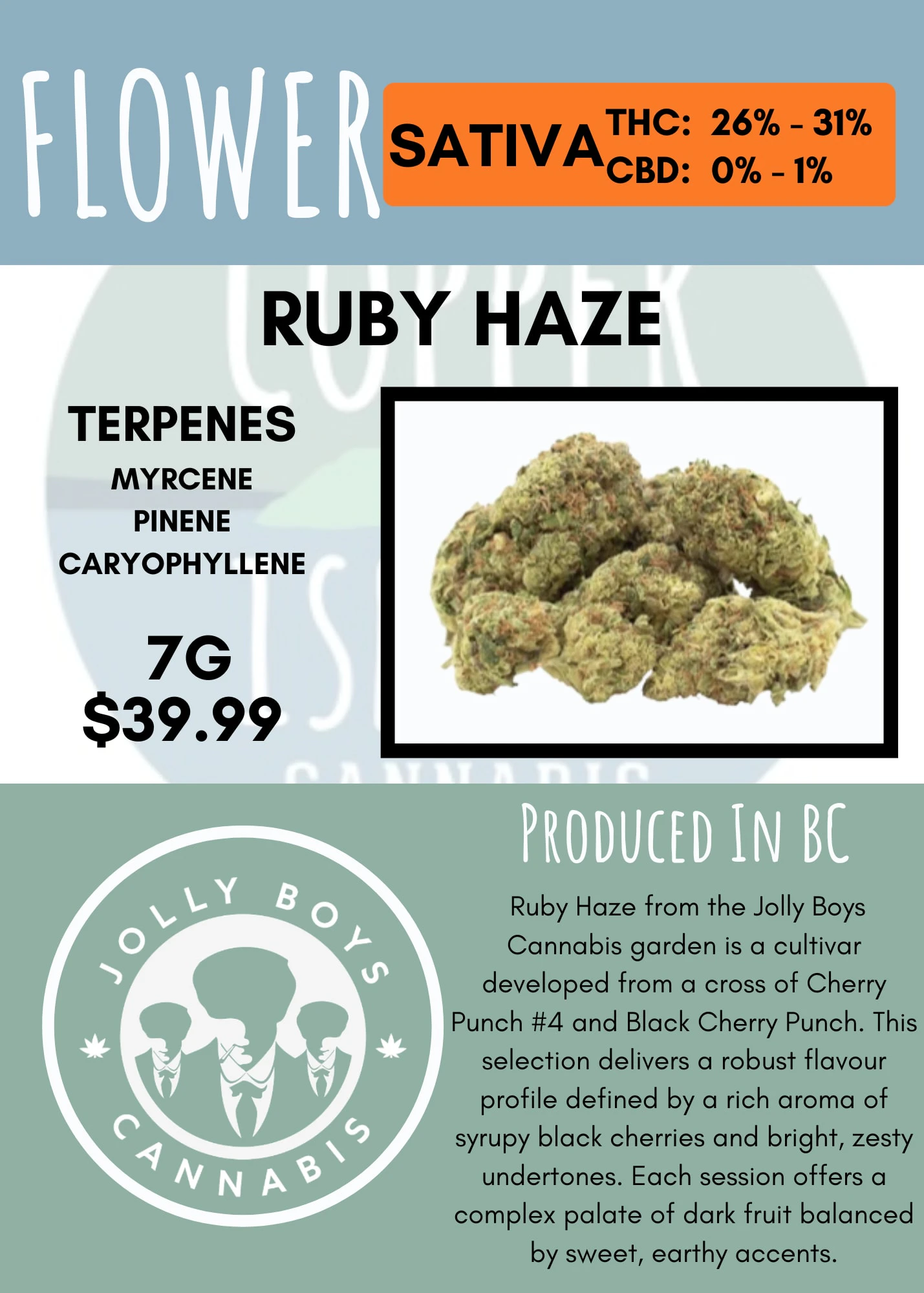 Jolly Boys - 7G - JOLLY BOYS - RUBY HAZE Main Image