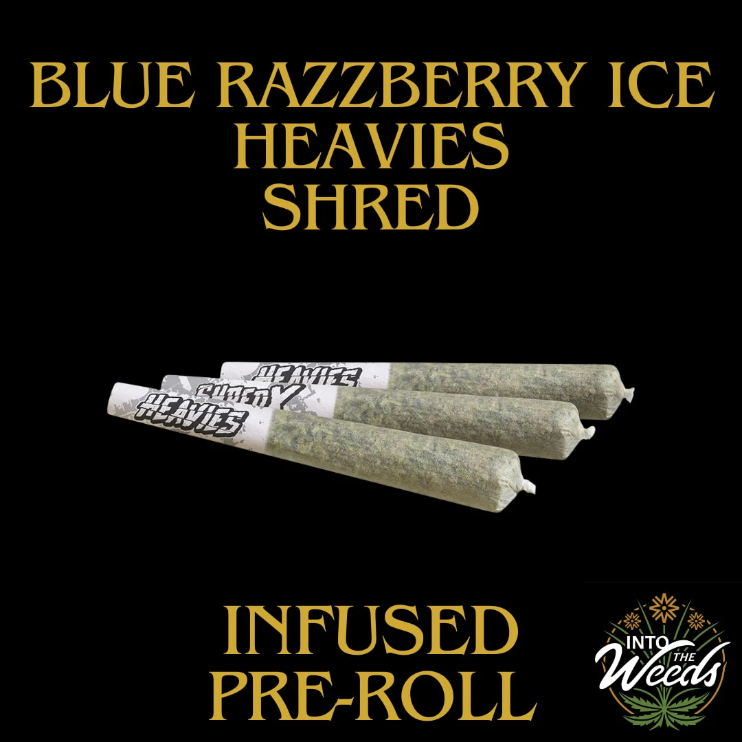 SHRED - Blue Razzberry Ice Heavies - 3 x 0.5g Main Image
