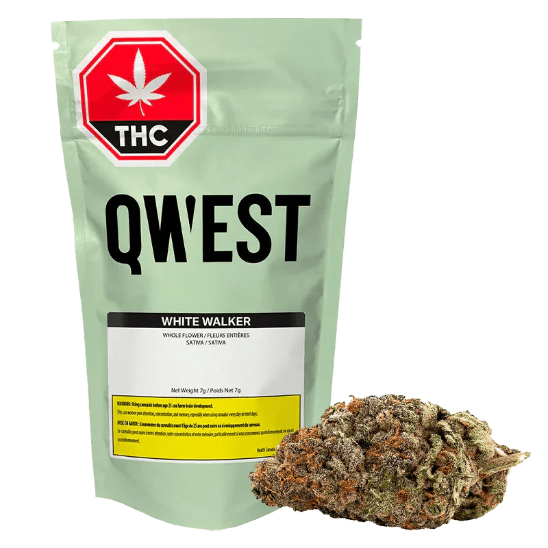 QWEST - White Walker Craft 7g Dried Flower by Qwest Main Image