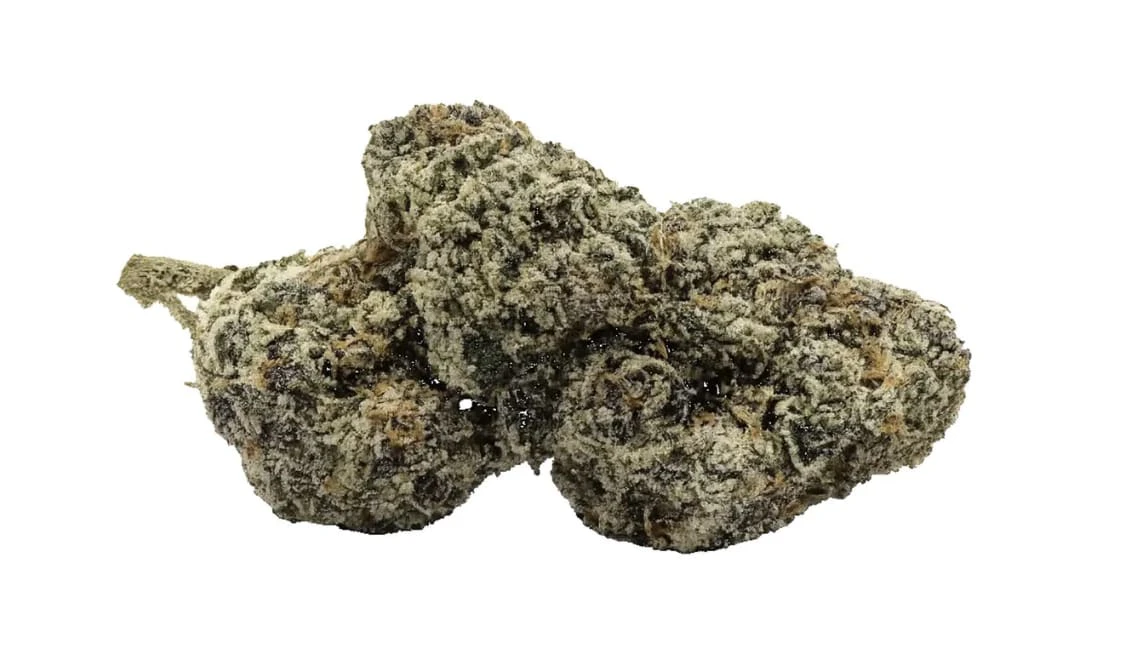 TRYGG - Biscotti - 28g Main Image