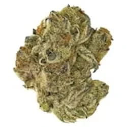 JONNY Chronic - Mule Fuel (28g) - Jonny Chronic Main Image