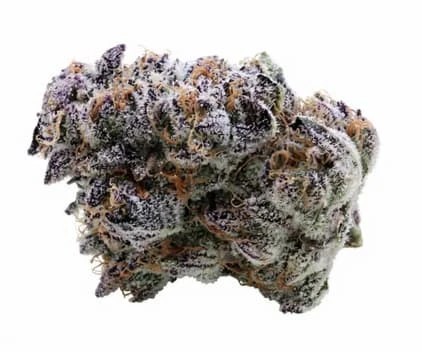 VALHALLA FLWR - VALHALLA FLWR - BLUEBERRY SUGAR - 3.5 GRAM Main Image
