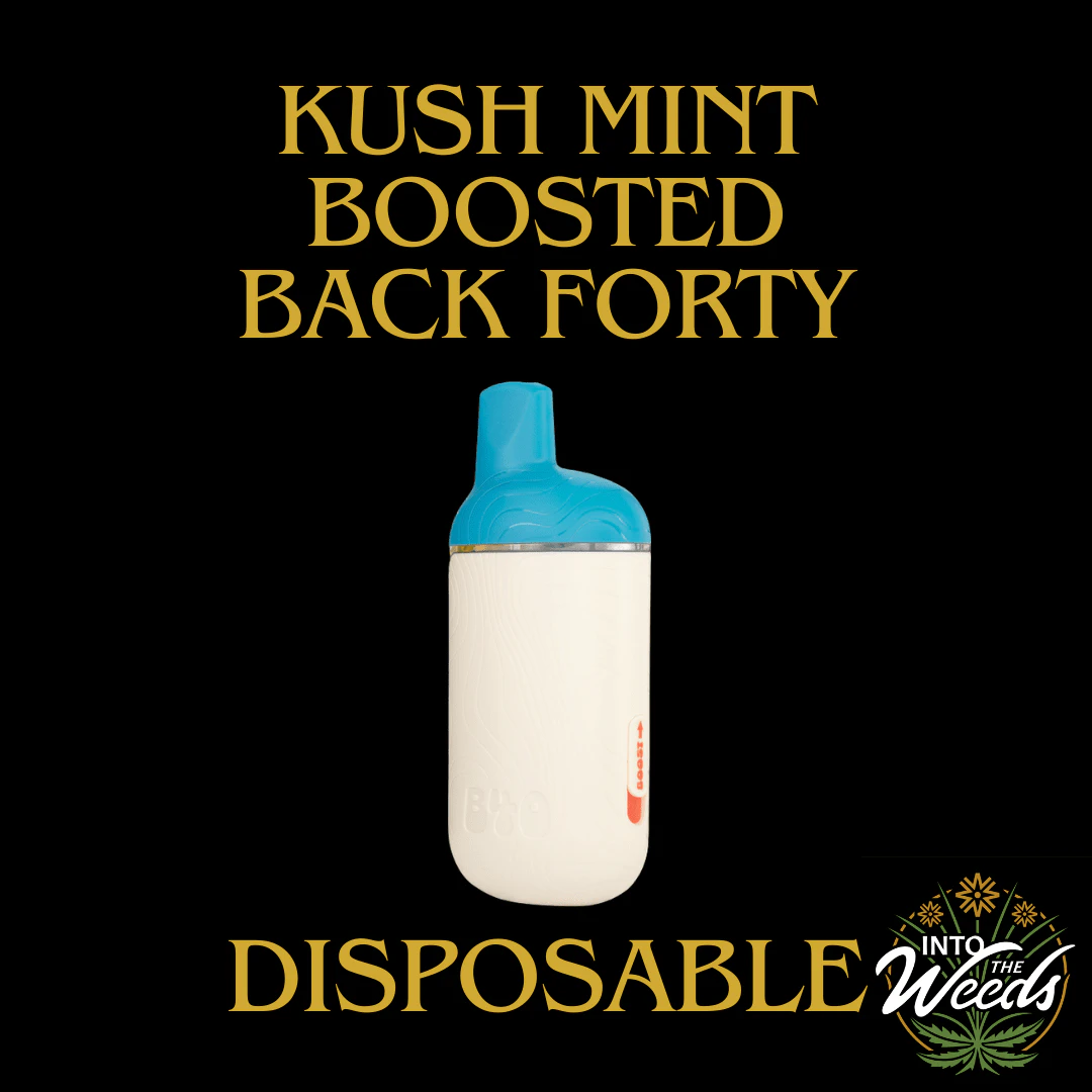 BACK FORTY - Kush Mint - 1.2g Main Image
