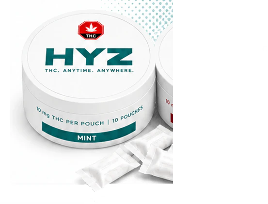 HYZ - MINT ORAL POUCH - 10 x 10mg Main Image