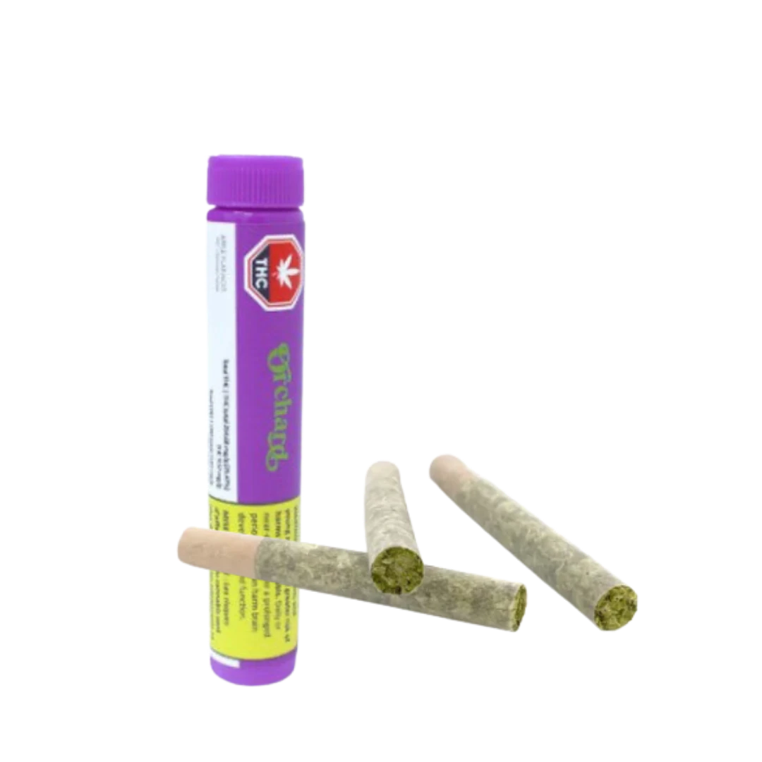 Orchard - Orchard Peach Gelatti Pre-Rolls LTO - 3 X 0.5g Main Image