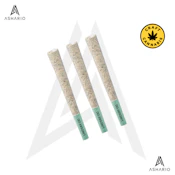 Lindsay OG | 3x0.5g