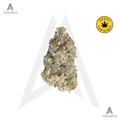 Britscotti | 7g