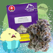 BLUEBERRY SUGAR - VALHALLA - 3.5G