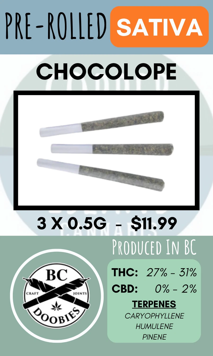 BC DOOBIES - BC DOOBIES - 3PK CHOCOLOPE PRS Main Image