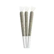 Jack Herer Master Jack 3 x 0.5g Pre-Rolls