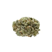 Glazed Indica (28g) - BOLD
