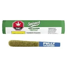 SPINACH - Spinach Blueberry Dynamite 1 x 0.7g Infused Pre-Roll Main Image