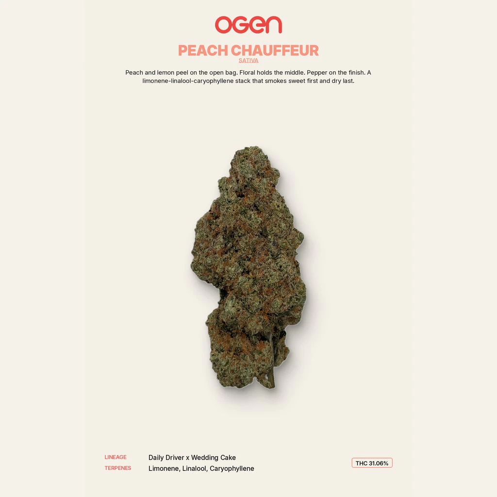 OGEN x OCEANIC - Peach Chauffeur 3.5g Dried Flower by OGEN x Oceanic Main Image