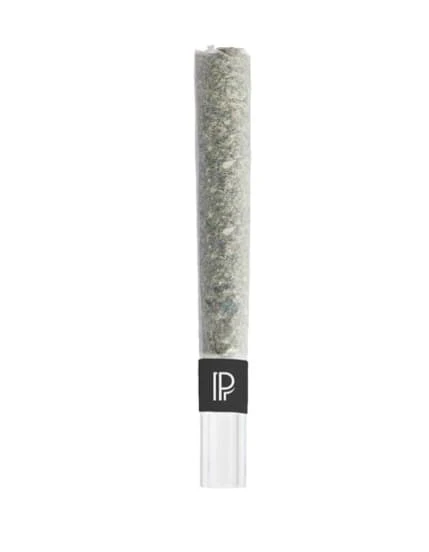 PISTOL AND PARIS - Pistol & Paris | Permanent OG Bubble Hash Infused Pre Roll LTO | 1 x 1.5 g Main Image