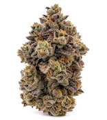 Gas Pack Peanut Butter Rockstar 28g