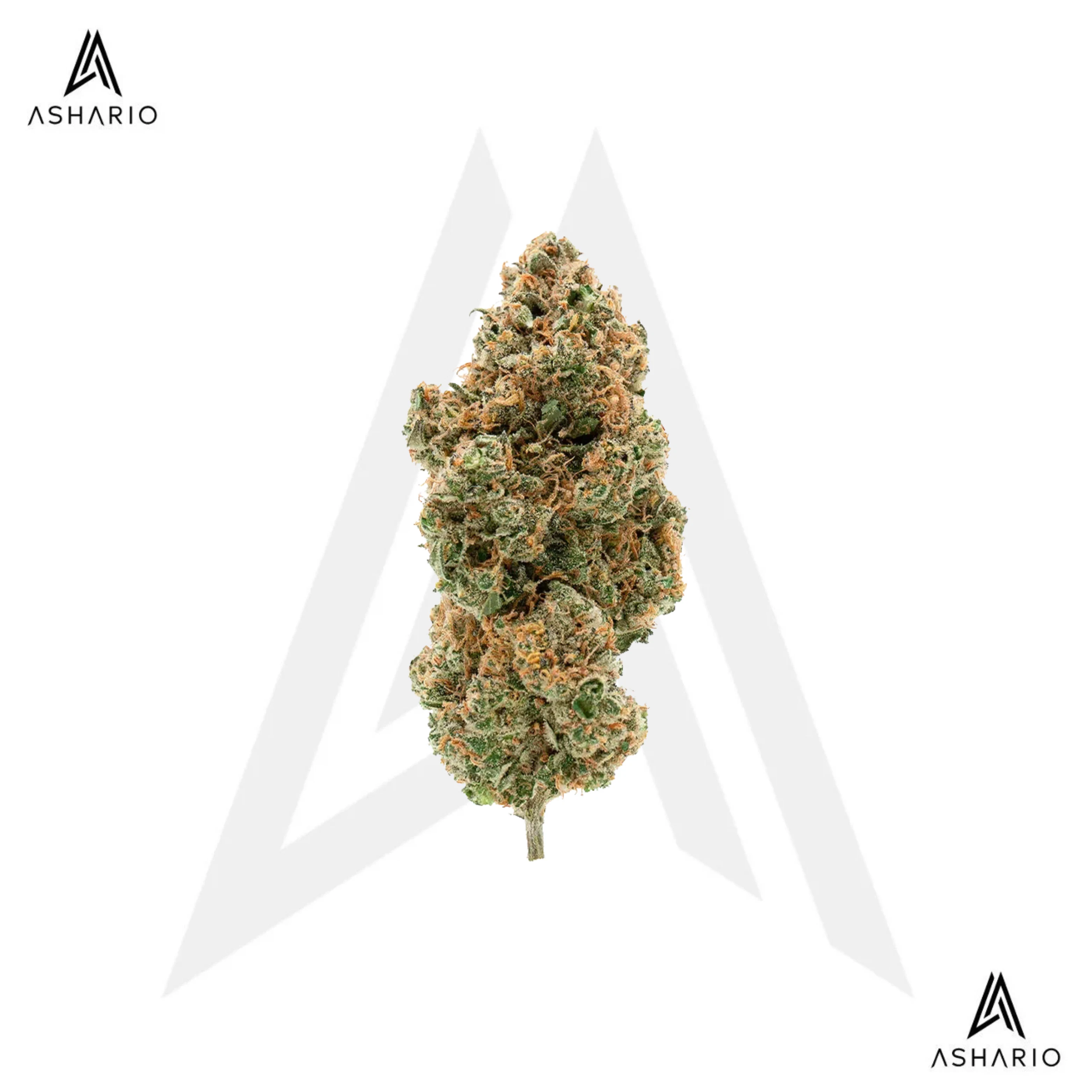 Simply Bare - BC Organic Tangerine Sunrise | 28g Main Image