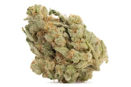 ZOMBIE BREATH - 14
