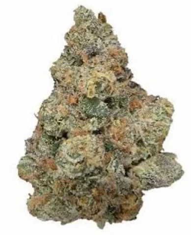 Grow & Blaze Cannabis - GMO X MK ULTRA - 7 Main Image