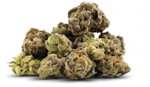 Violet fever - BC Smalls - 3.5G