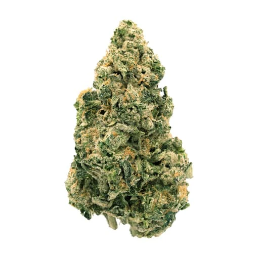 BACK FORTY - Galactic Jack 28g Dried Flower Main Image