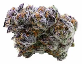 VALHALLA FLWR - VALHALLA FLWR | BLUEBERRY SUGAR 14g Main Image