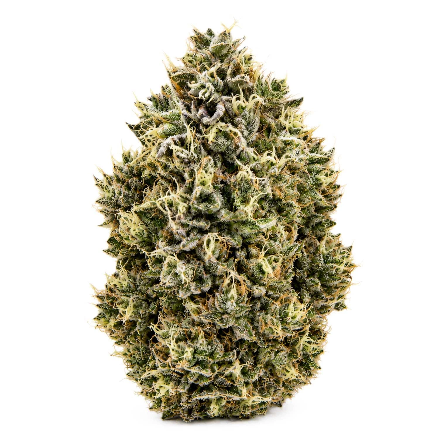 GAS PACK - Comatose Smalls - 7g Main Image